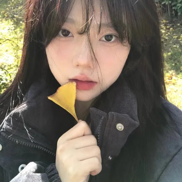 森林之门